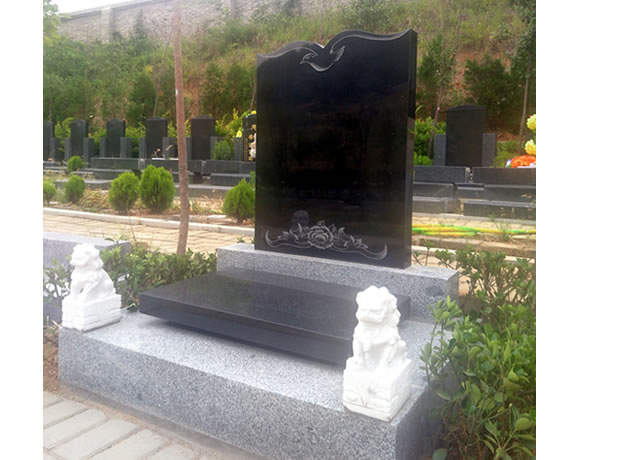 ���ͱ����Ĳ�Է��