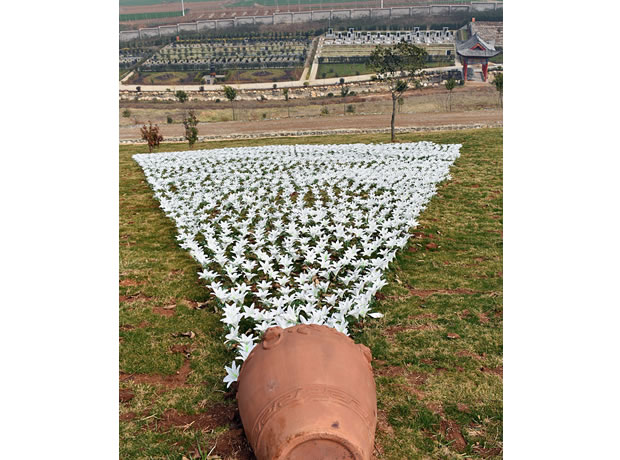 ԰������