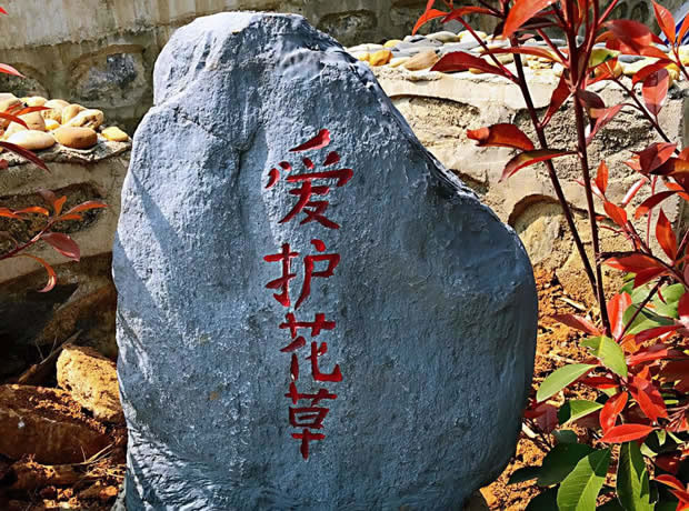 ԰������