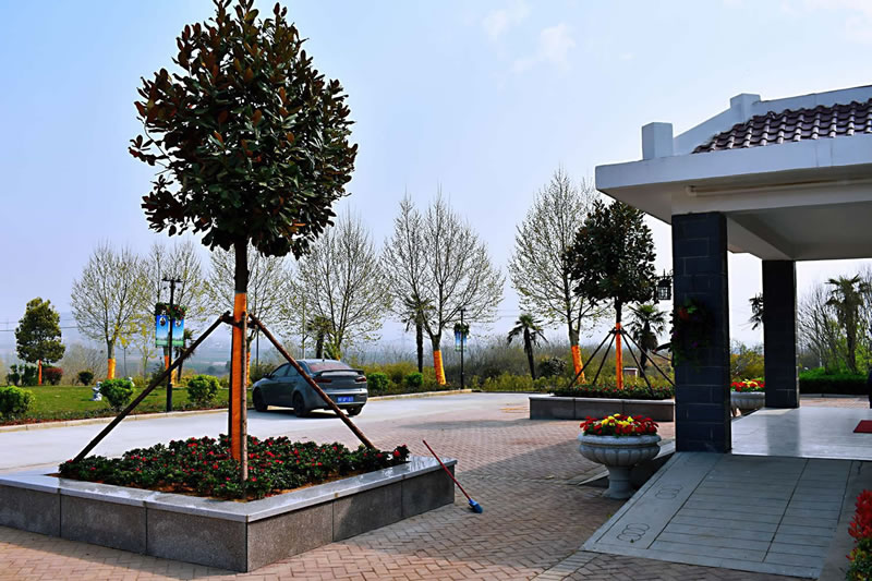 ԰������