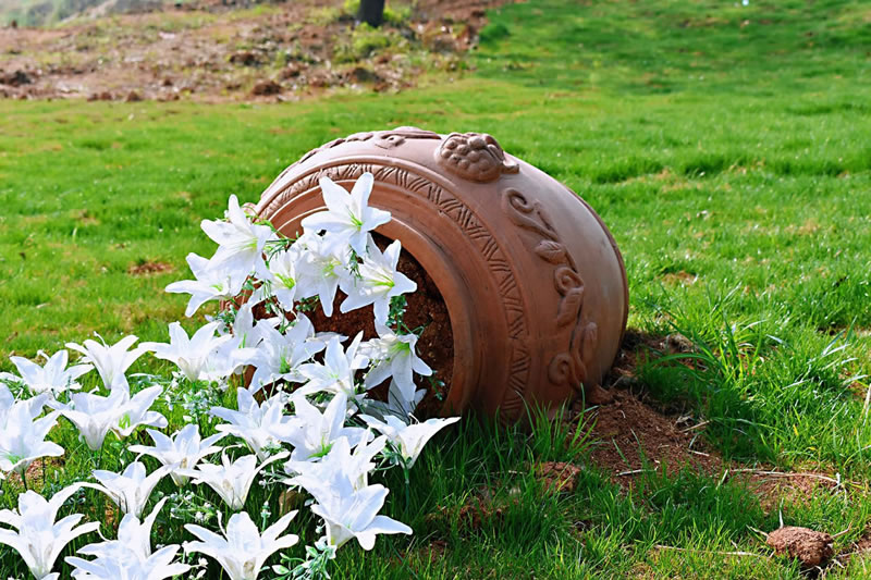 ԰������