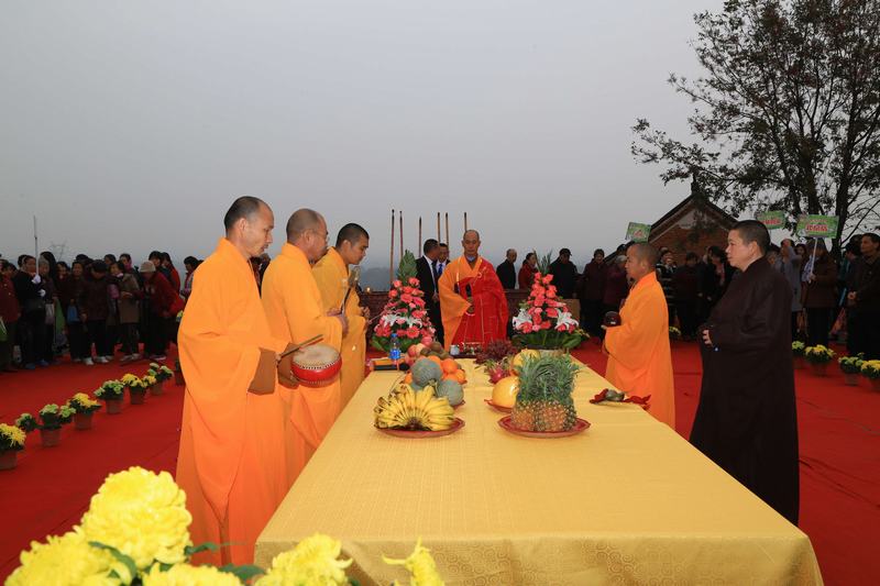 ԰������