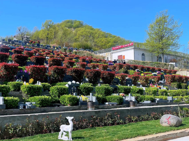 ԰������