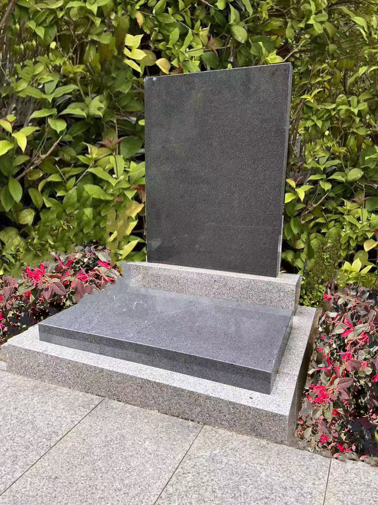 Ĺ������