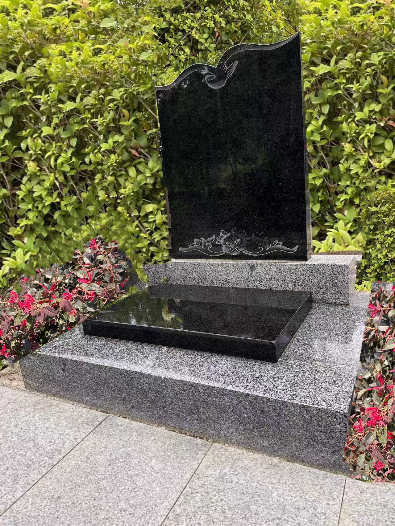 Ĺ������